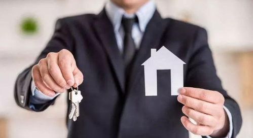 中國房地產(chǎn)代理行業(yè)的發(fā)展歷程與信息咨詢服務(wù)的演進(jìn)